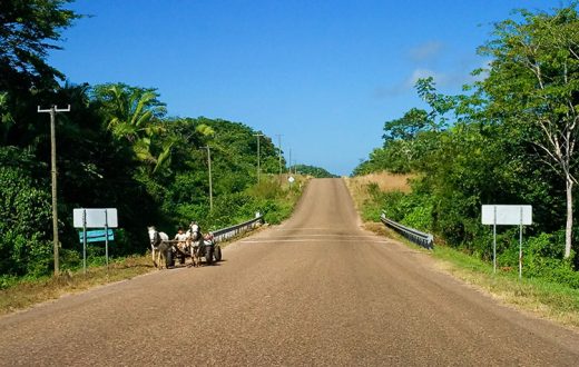 Шоссе Колибри и местный деревенский транспорт.
