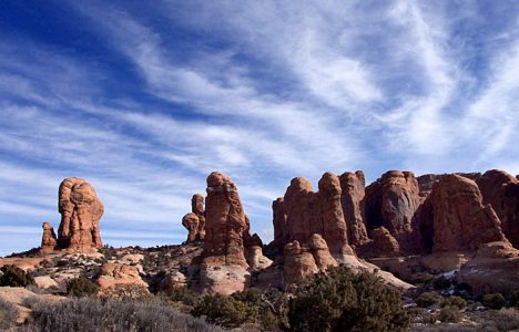 Райский сад (Garden of the Eden).