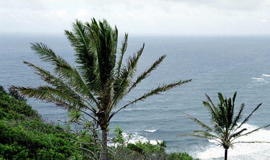 Дождь над океаном. Долина Pololu.