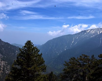 Стая хищных птиц, парящая над вершинами Олимпа.