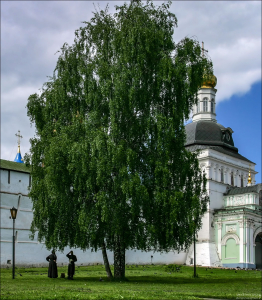 "Монахи". Разговор двух монахов под березой, у стен Троице-Сергиевой Лавры в Сергиевом Посаде.