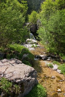 Весенний ручеек в национальном парке Олимп.