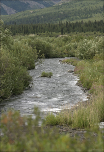 Savage river около кемпинга.