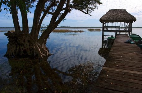 Причал на границе заповедника Crooked Tree.