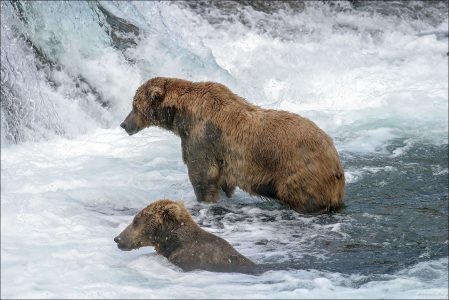 Он и Она в ожидании лосося.