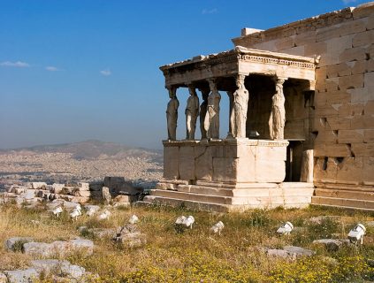 Весенние цветы и портик с кариатидами. Акрополь.