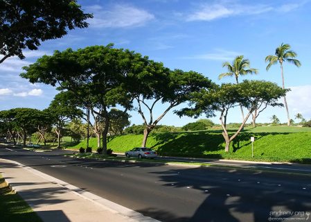 Дорога через курортный городок Wailea.