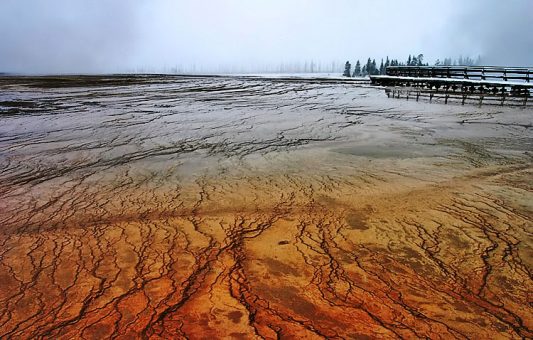 Водоем Grand Prismatic Spring.