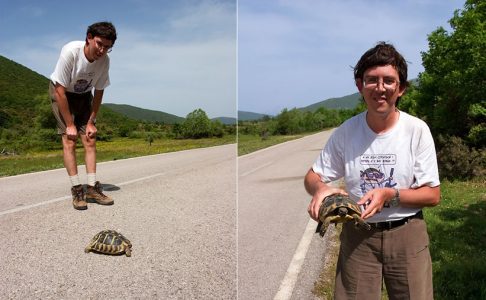 Греческая черепаха с ассистентом :) Vikos-Aoos National Park.