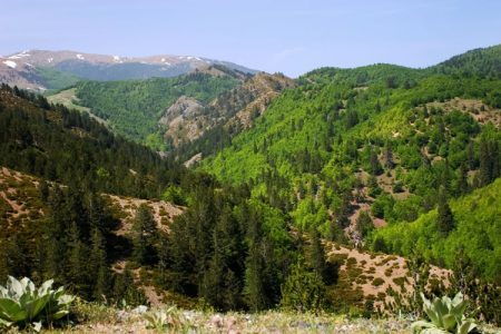 Горы Pindos mountains. Vikos-Aoos National Park.