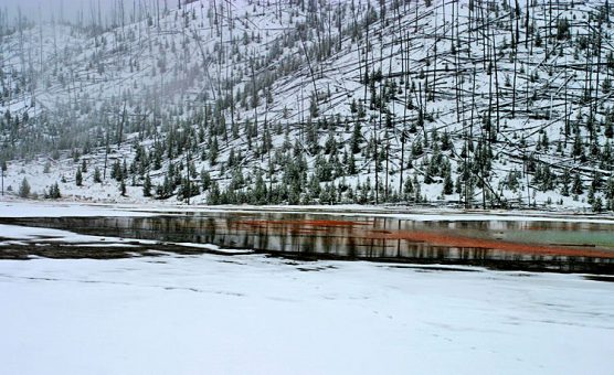 Следы пожара 1988-го года.