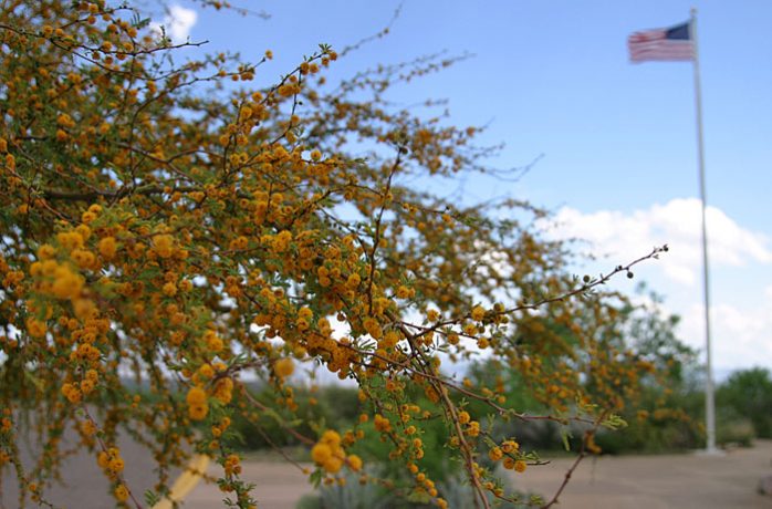Патриотическая фотография.