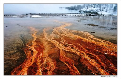 "Огненная река". В национальном парке "Yellowstone" горячие источники и водоемы окрашены в самые разные цвета радуги. Все дело в пигментах, содержащихся в микроорганизмах. Например здесь, каротиноид "отвественен" за оранжевый, желтый и красный цвета Огненной Реки.