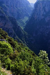 Весенние склоны каньона Викос.