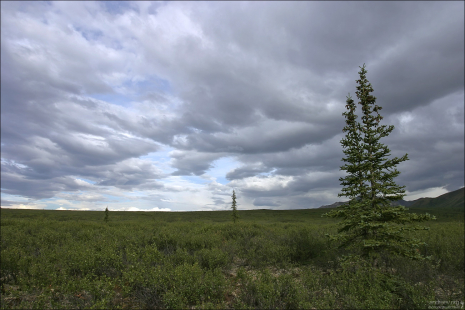 Сумасшедшее небо над тундрой.