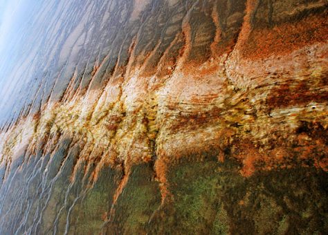 Разноцветные водоросли в Бисквитном бассейне.