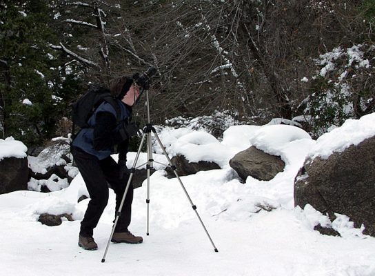 У подножия водопада "Bridalveil fall".