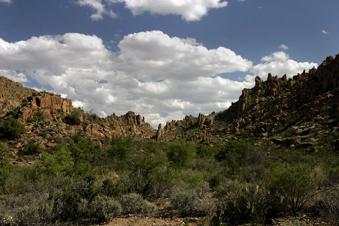 Начало тропы Grapevine Hills trail.
