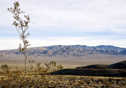 Долина Eureka. Death Valley national park.