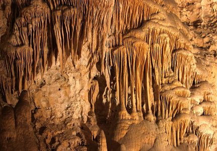 Грибница. Большая комната. Carlsbad Caverns National Park.