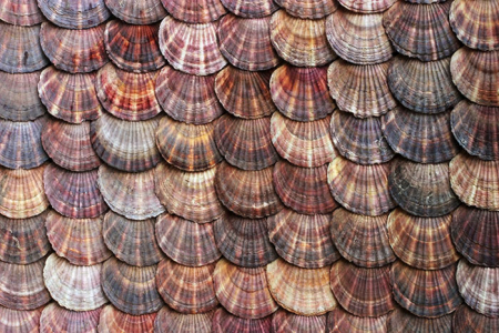 Облицовка из раковин на наружных стенах грота.