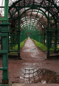 Галереи Верхнего парка. Петродворец.