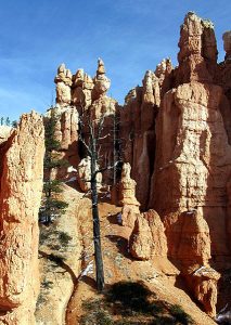 Hoodoos. Вид с тропы "Сад Королевы".