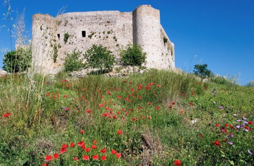 Весенние маки и замок Chlemoutsi.