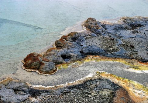 Забавная морда какого-то животного. Biscuit Basin.