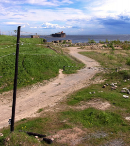 Чумной форт у берегов о. Котлин, где разрабатывались вакцины и сыворотки против чумы, холеры, столбняка.