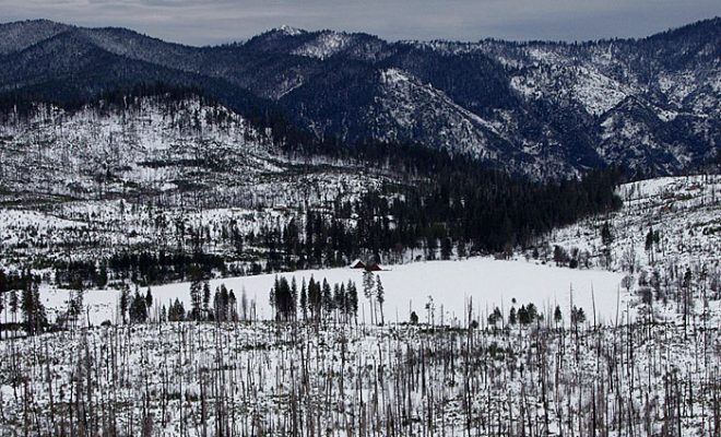 Луг Tuolumne, занесенный снегом.