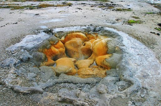 Гейзер "Ракушка" (Shell Geyser) в Бисквитном бассейне.