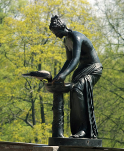 Предприимчивая ворона, размачивающая кусок хлеба.