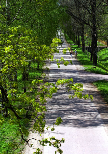 Романтическая аллея в Александровском парке. Пушкин.