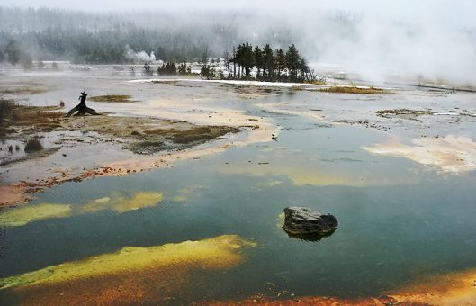 Разноцветное болото. Бисквитный бассейн.