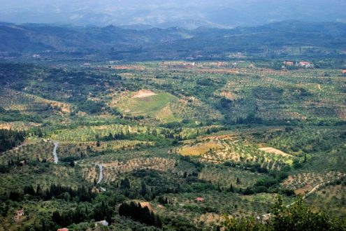 Оливковые сады и горная гряда Taygetos Mountains.