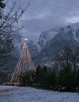 Новогодняя ёлка в глуши.