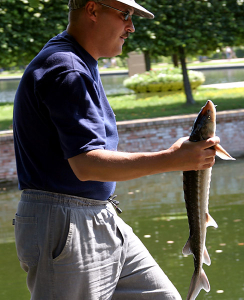 Счастливый обладатель стерляди.