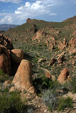 Верхняя часть тропы Grapevine Hills trail.