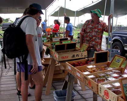 Придорожный рынок экзотических фруктов и цветов.