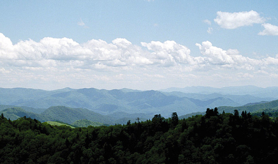 Панорама с тропы Alum Cave Bluffs Trail. Great Smoky Mountains. Май, 2001 год.