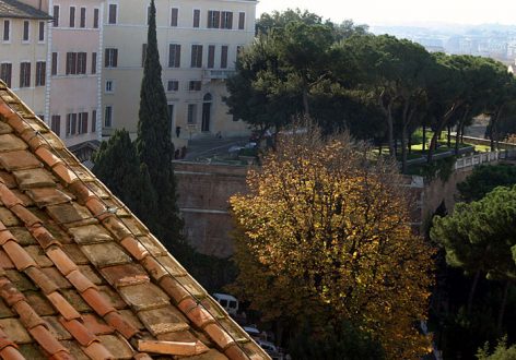 Кипарисы во внутреннем дворике.