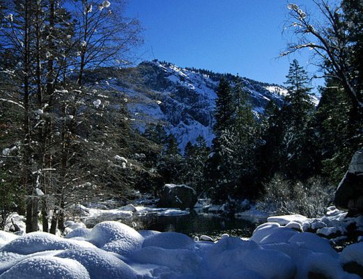 Зеркальное озеро посреди соснового леса.