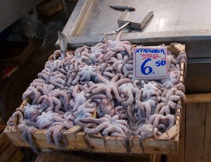 Свежие ктулхи :) Рыбный рынок.