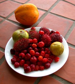 Экзотические фрукты: гавайская вишня, мальпигия (acerola), sapotes, rambutan (красный, с колючками, безумно вкусный), папайя.
