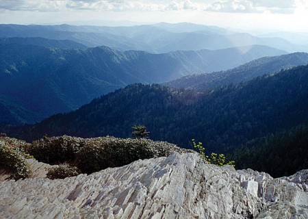 Образование голубого тумана. Вершина горы Mount LeConte.