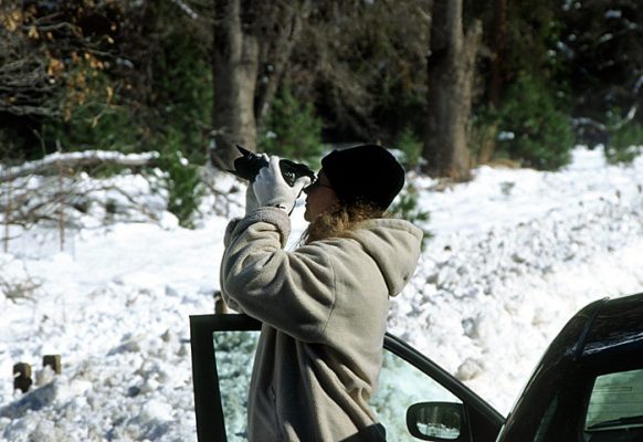 Вдоль дороги Southside drive.