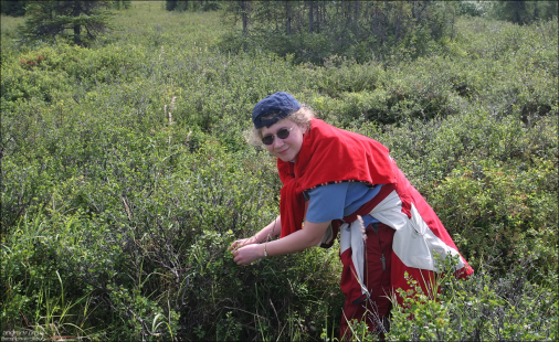 В зарослях голубики около озера Wonder lake.