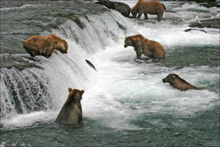 Один на всех, и все на одного.
