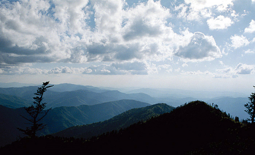 Вечер. Вершина горы Mount LeConte. Great Smoky Mountains. Май, 2001 год.